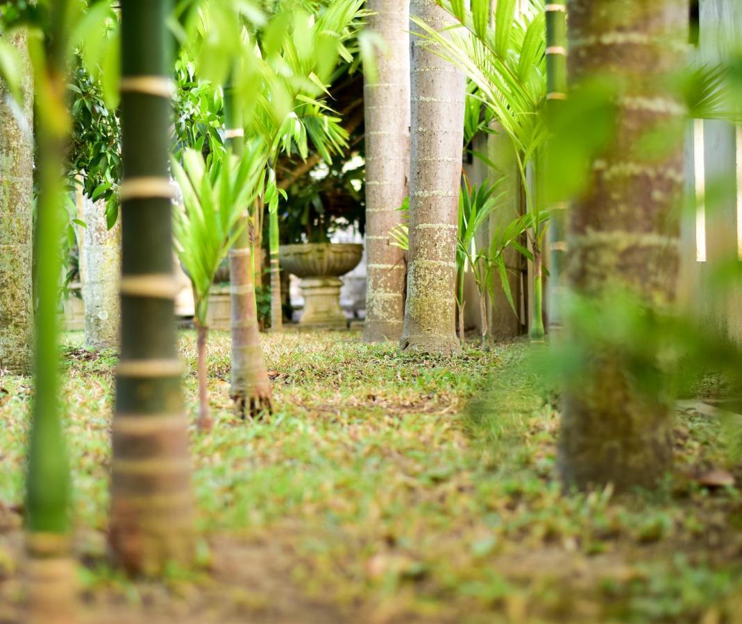 Chiang Mai Heritage House Eksteriør billede